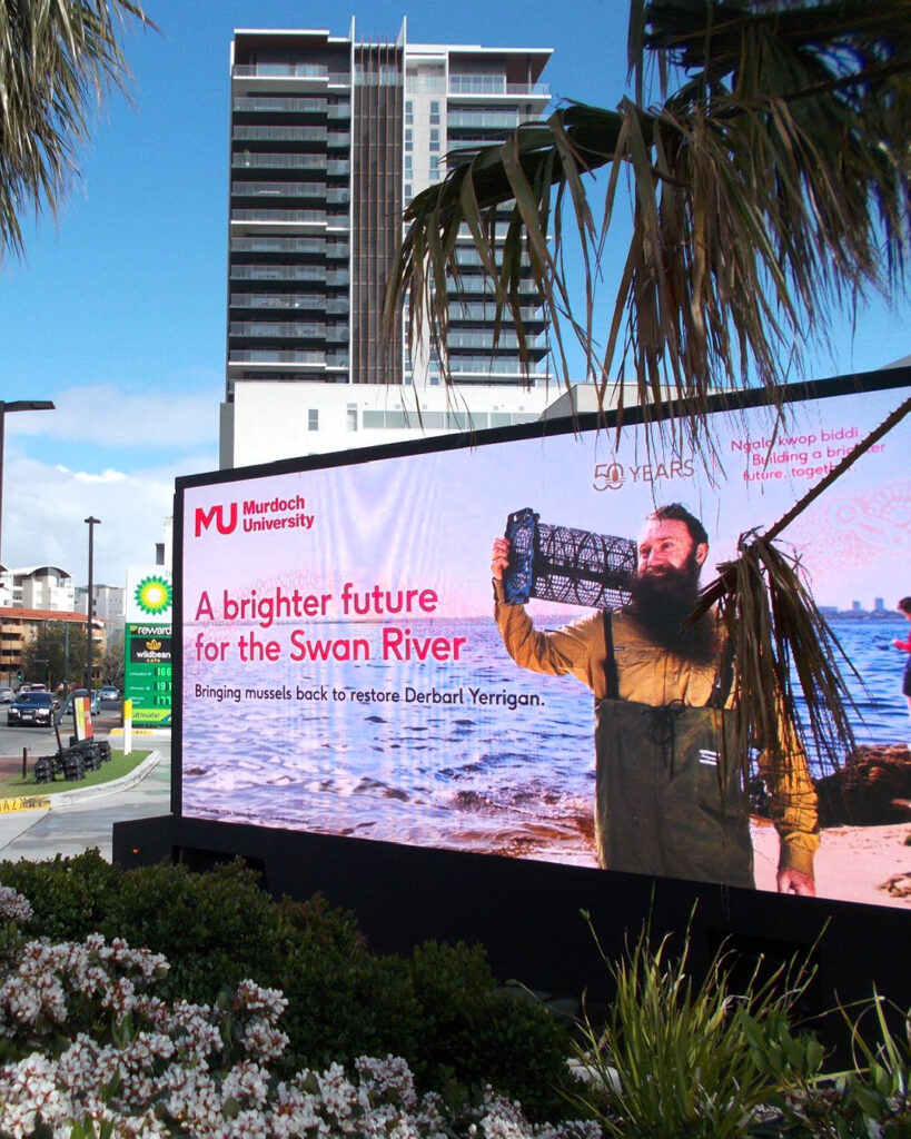 MTMN DMB Murdoch Uni 1080×1350 4