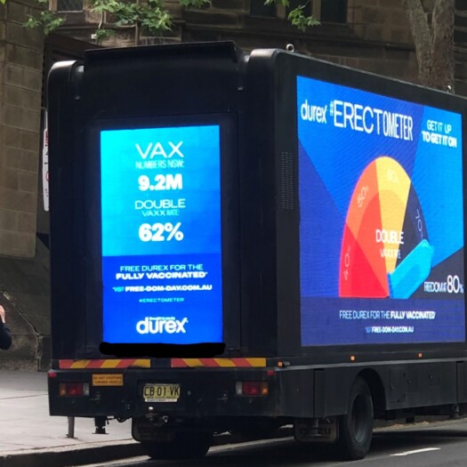 IMG 0320 3 LI IMG 0320 3 LI